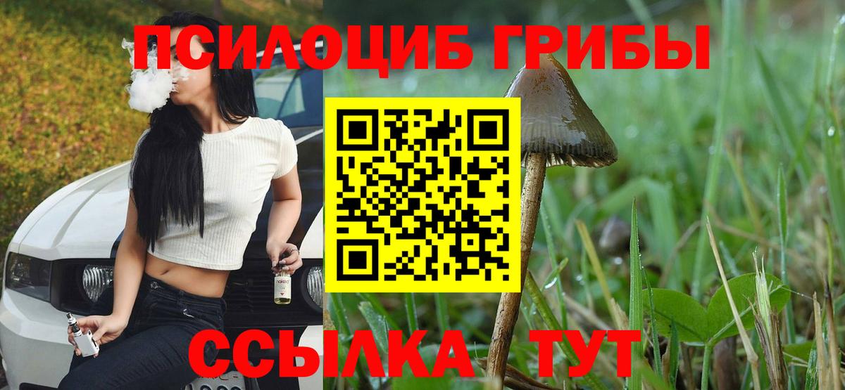 Узловая  Галлюциногенные грибы мухоморы  Галлюциногенные грибы Psilocybine cubensis  магазин продажи наркотиков  Вход с VPN 
